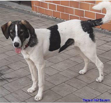 Wilma