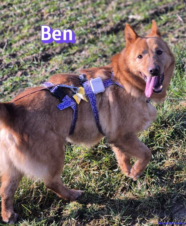 Ben
